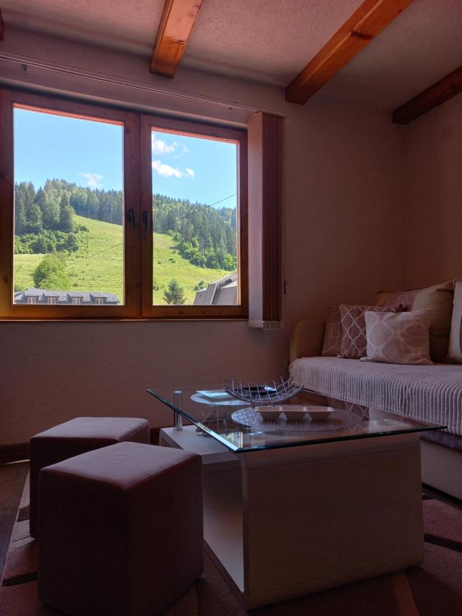 Zlatar duplex - Ferienwohnung Nova Varoš