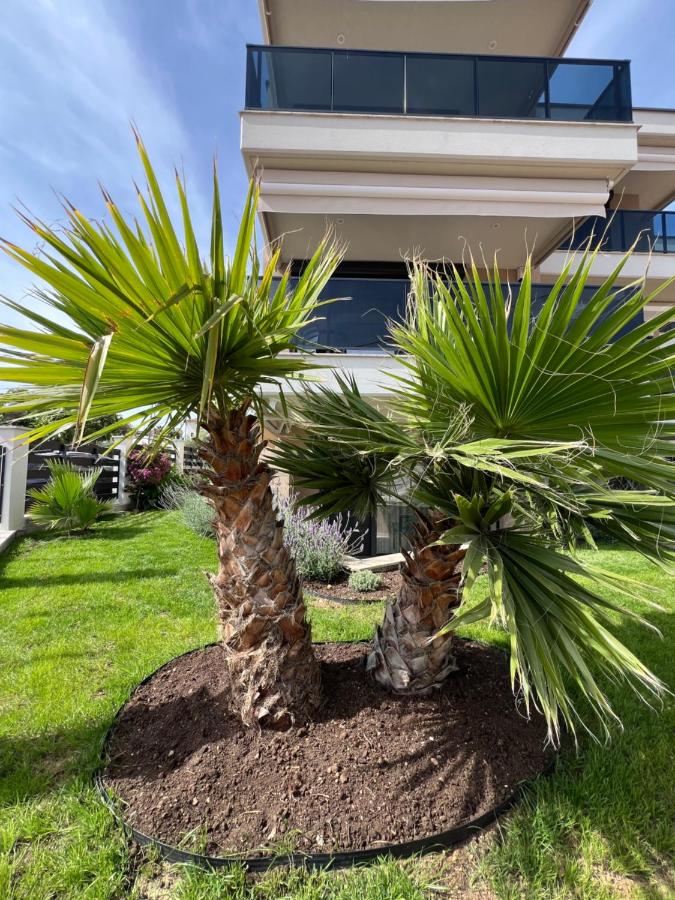 Galatea Suites - B&B