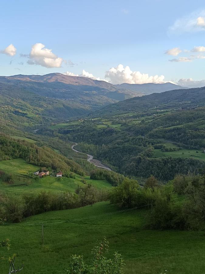 Chambre Lit King-Size - Vue sur Montagne