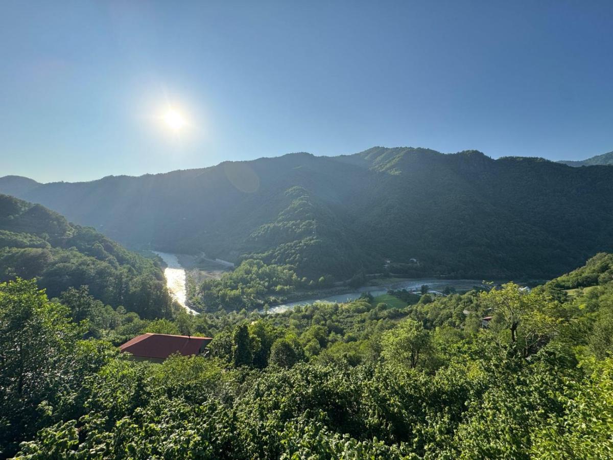 Bzubzu star - Cottage in high mountain - B&B