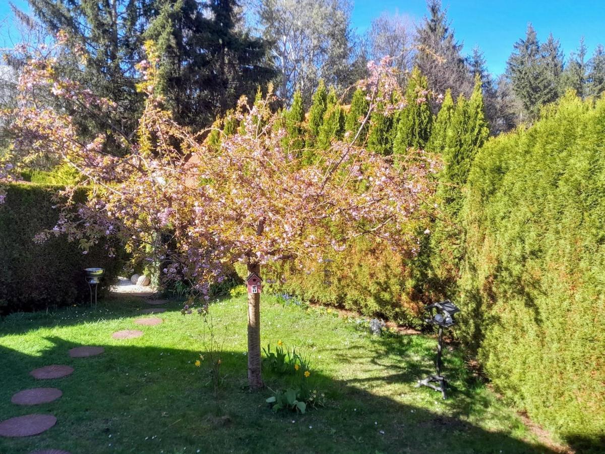 Ferienhaus Steiner - B&B Spielberg bei Knittelfeld