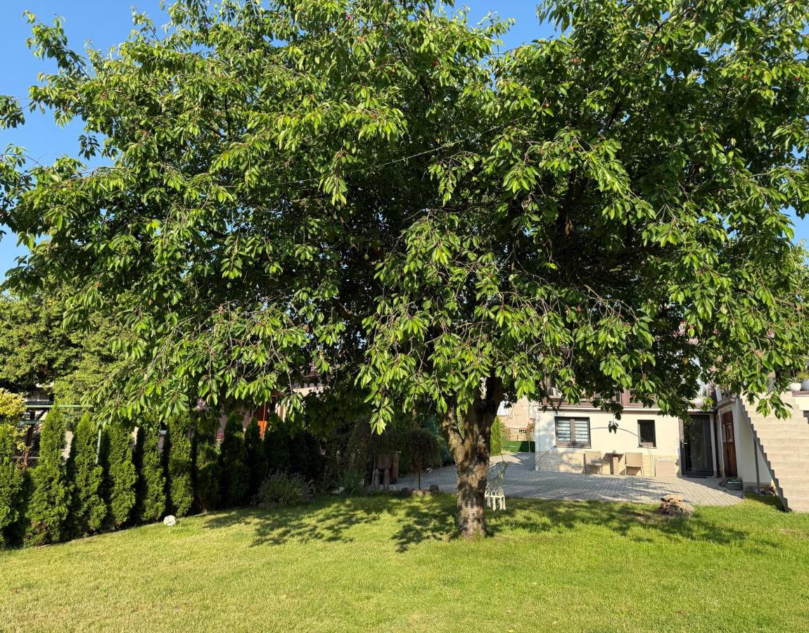 U Elinky - B&B Karlovy Vary