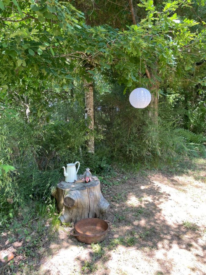 Un bel endroit dans la nature - Chambres d’hôtes Beyssac