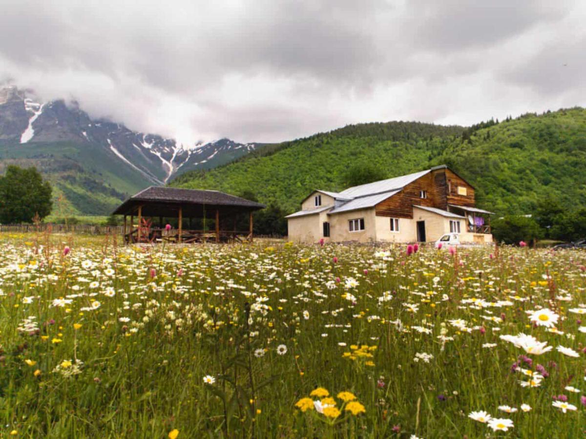 Guesthouse Daeli in Svaneti - Ferienwohnung Mazeri