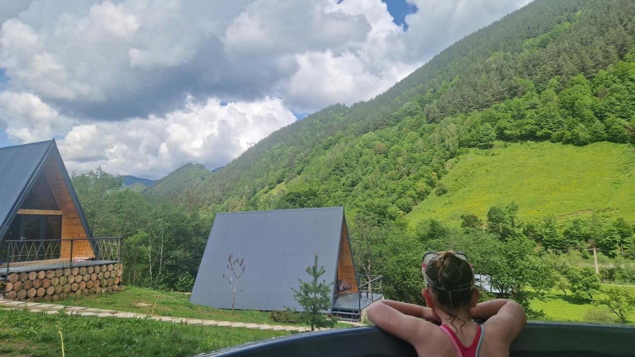 A-frame Râu Sadului - B&B Râu Sadului