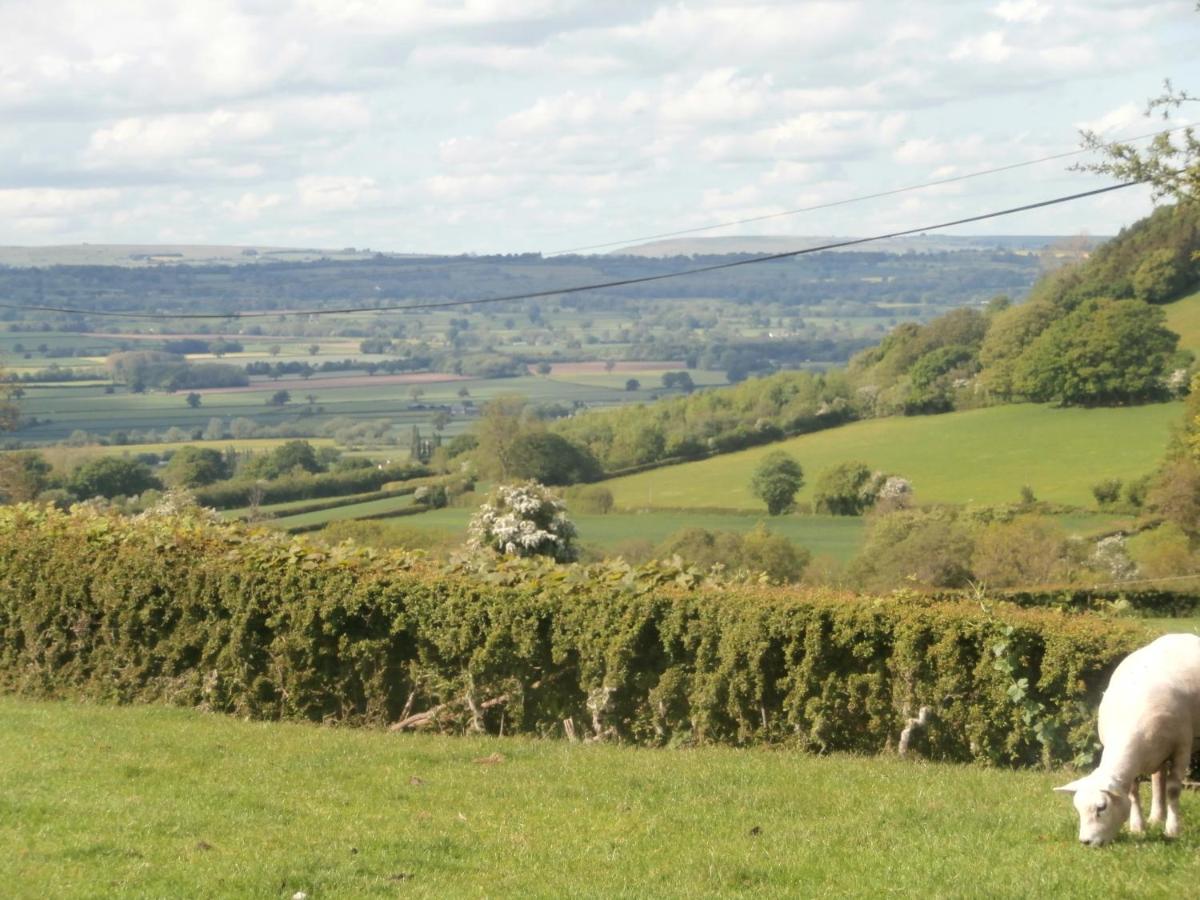 Highfield - Bed and Breakfast