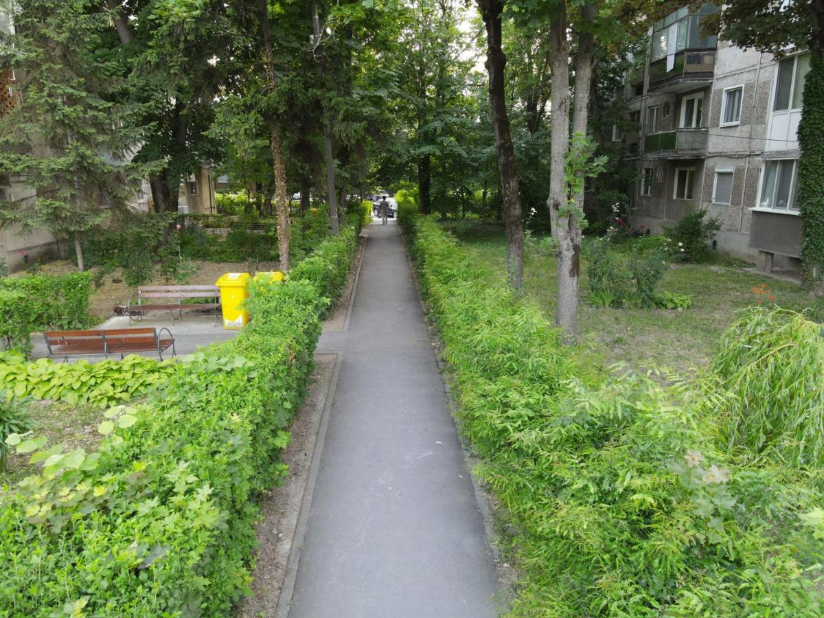 SmartStay Self CheckIn Near Iulius Mall - B&B
