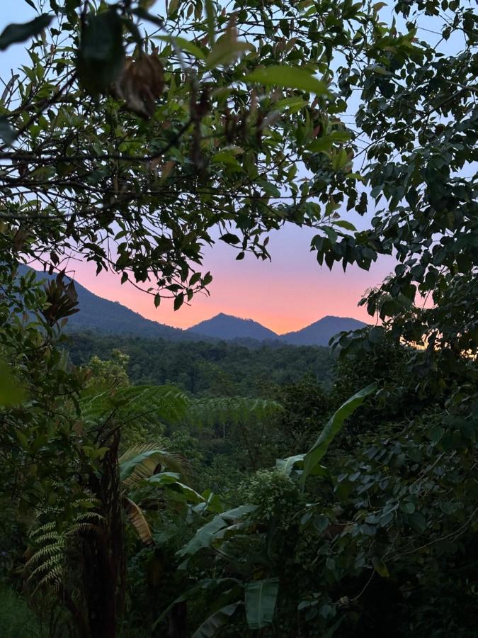 Jungle Hideaway, Outdoor Bath & Volcano Views - B&B Tabanan