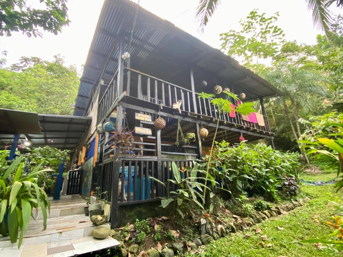Posada Madre Tierra - B&B