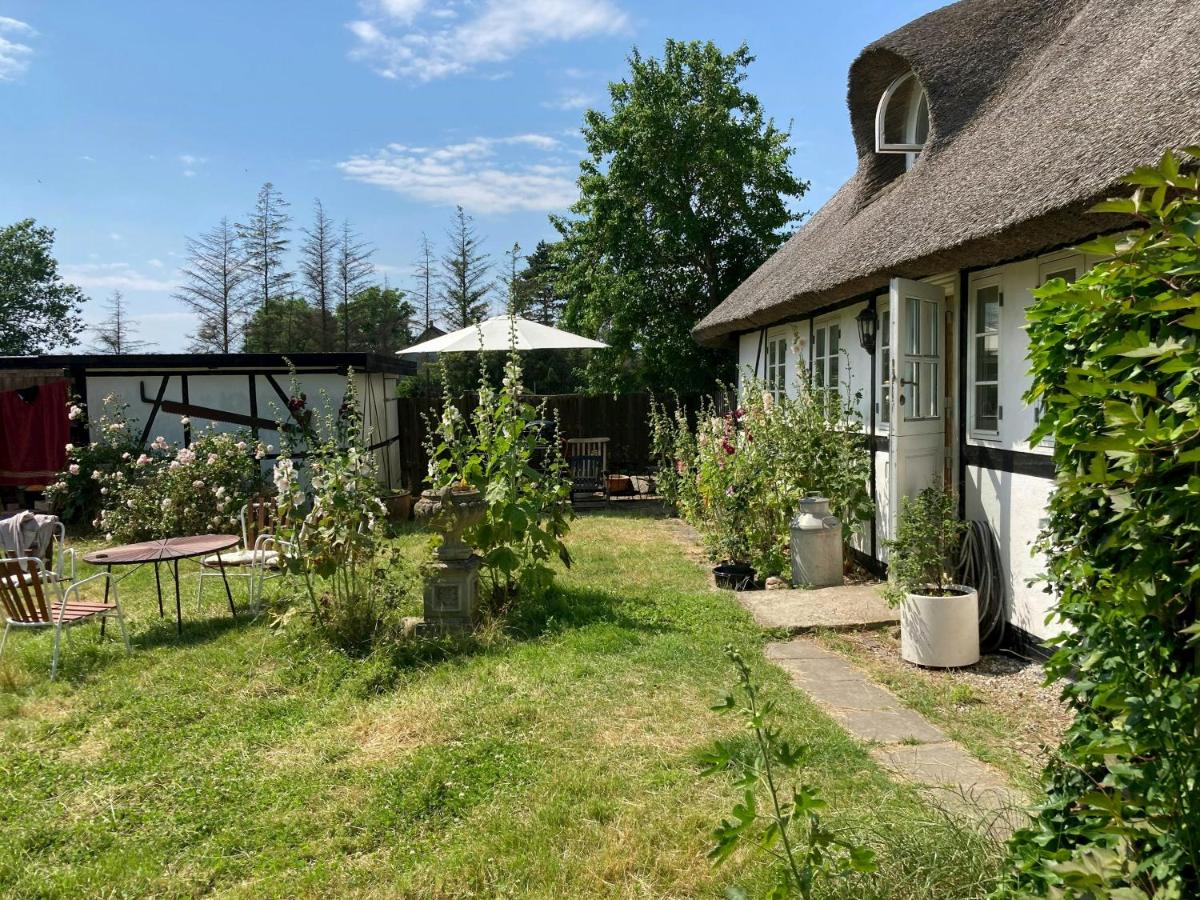 Charming Country House Near Holten Beach - B&B