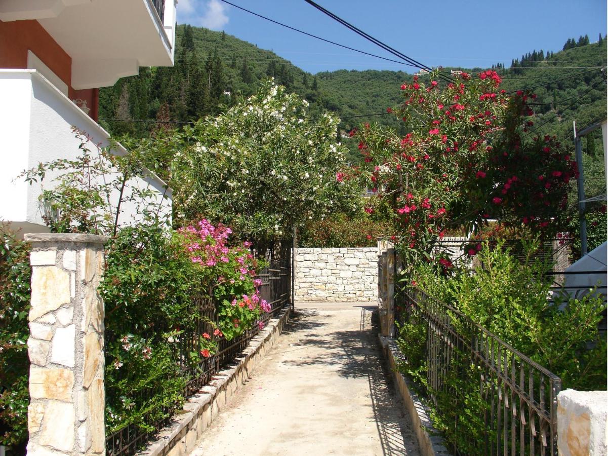 Appartement - Rez-de-Chaussée