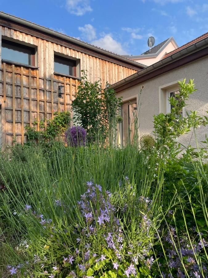 Kochstedter Wohnstuben - im ruhigen Stadtteil von Dessau - B&B