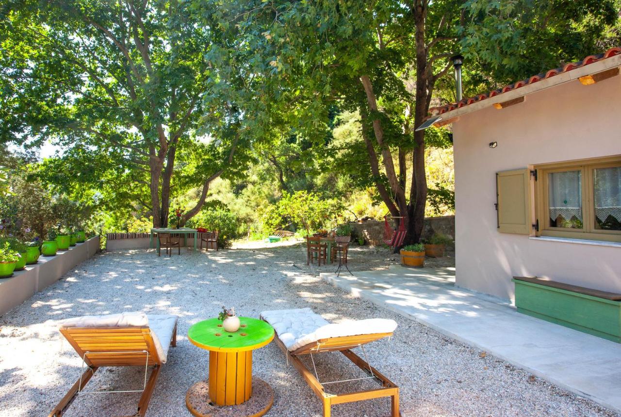 Zygardeli Eco-friendly Home 2025 - B&B