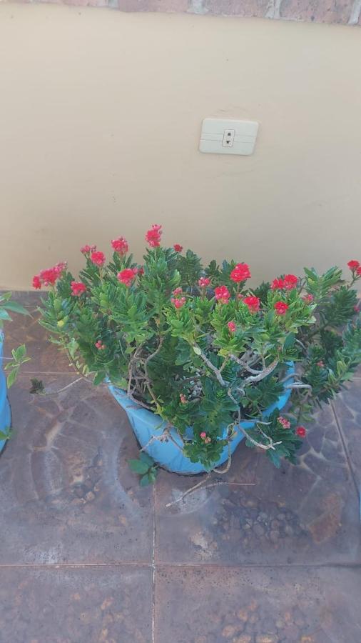 A 1 cuadra y media del Botánico, Asunción - B&B Asunción
