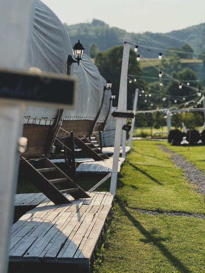 Glamping Spiritul Zimbrului - Chambres d’hôtes Vama Buzăului