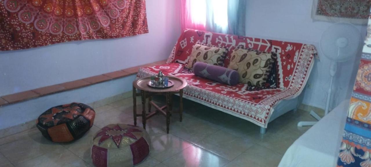 My Andalusian Passion Mi Pasion Andalusi - Ferienwohnung Córdoba