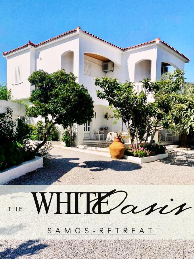 White Oasis Samos-Retreat - B&B