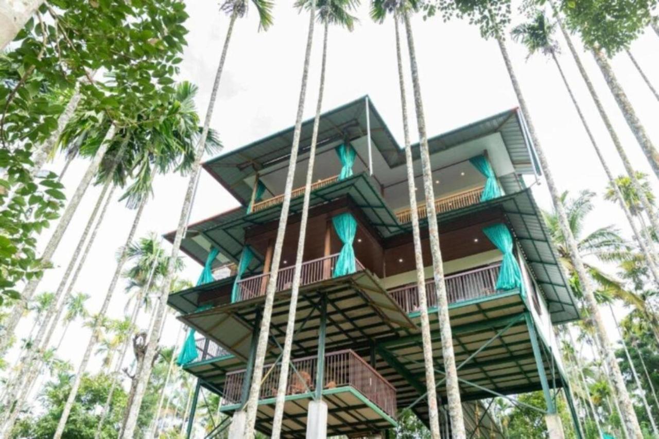 GreensVista Wayanad AC Pillar Homestay near Natural Stream and Amazing View - Bed and Breakfast Panamaram