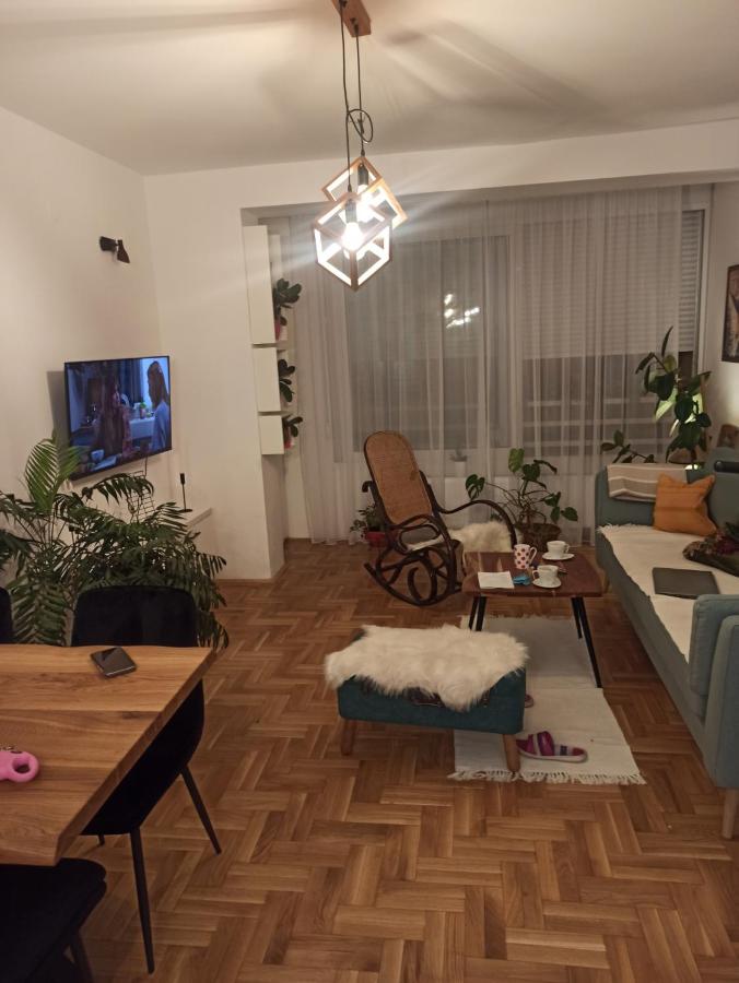 Olja's private apartment 2 - Ferienwohnung Novi Sad