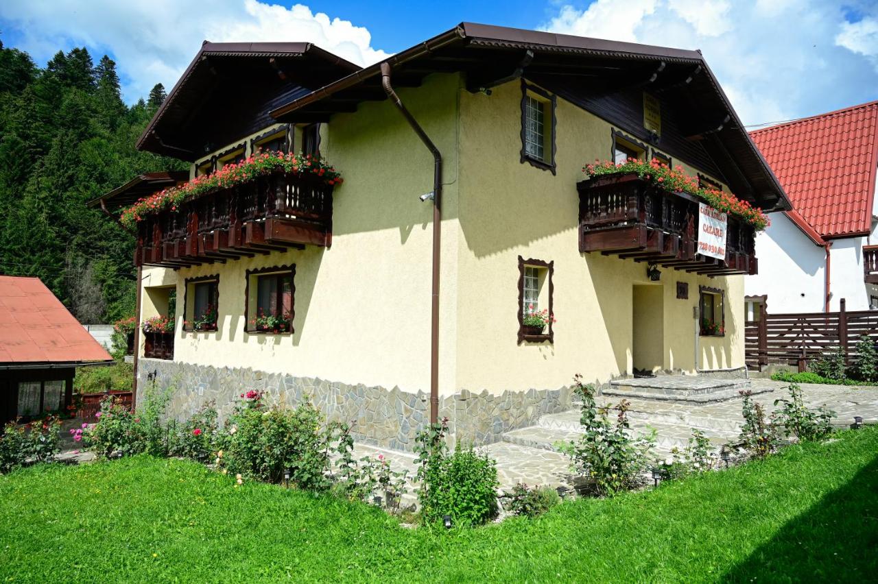 Casa Adrian - B&B Predeal