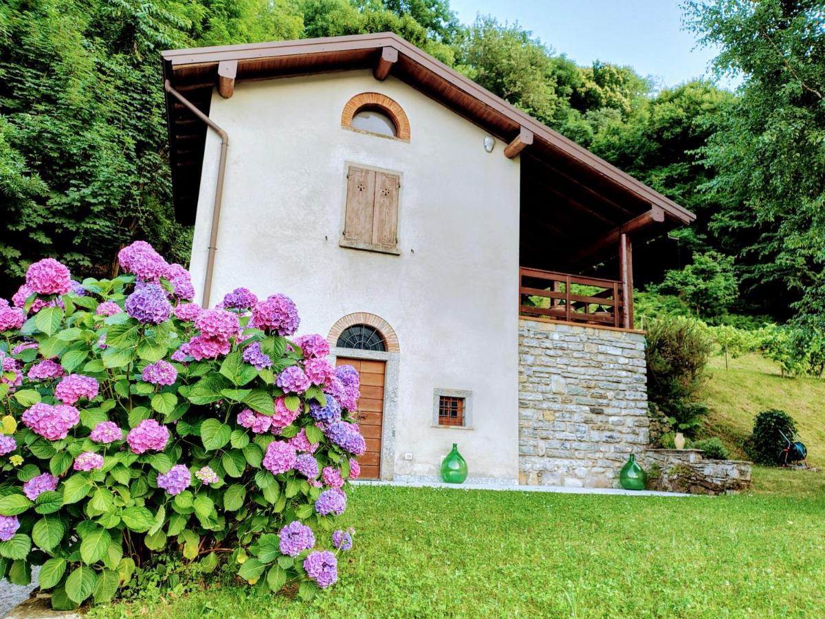 Ca' del Livello - country chic retreat with garden overlooking mountains - B&B Canzo