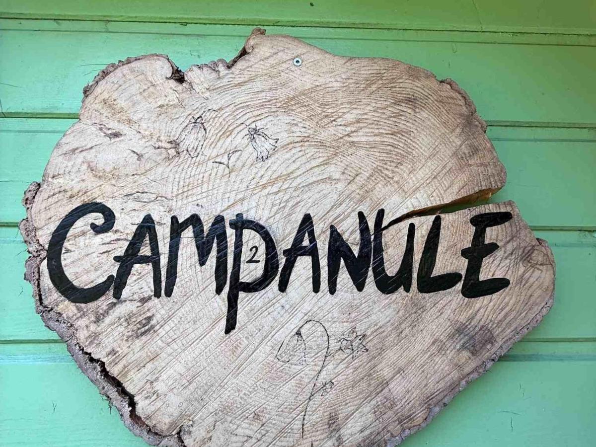 Chalet Campanules 37 - Nature, Randonnée & Famille - FR-1-583-471 - Chambres d'hôtes Mélisey