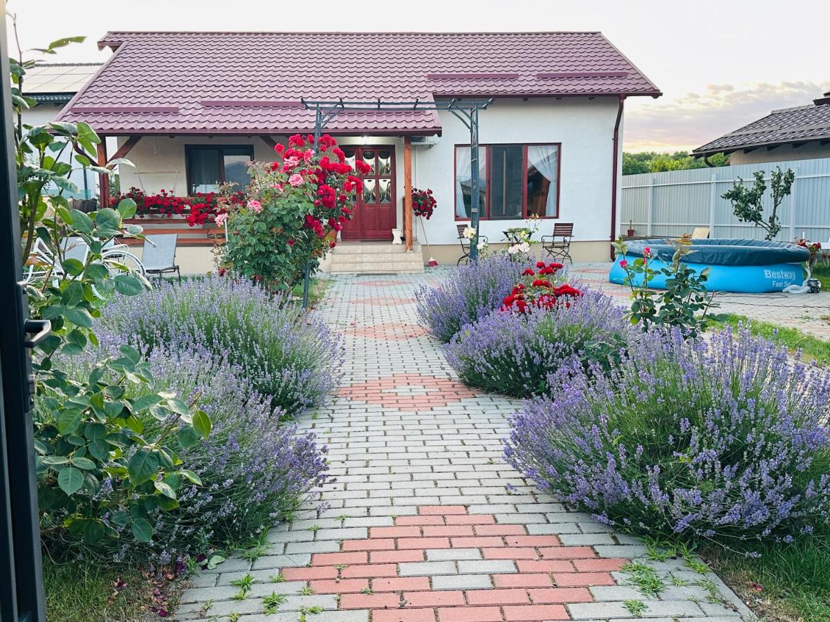 Mountain View House Brasov - B&B Braşov