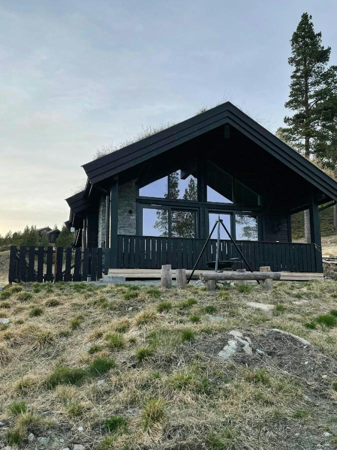 Modern Cabin At The Gateway To Jotunheimen - B&B Randsverk