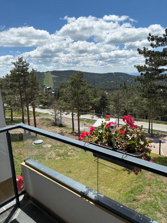 One-Bedroom Apartment with Balcony