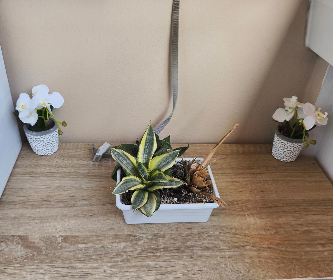 Apartamento nuevo con parking y piscina gratis - B&B Fuengirola