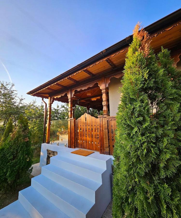 Nature Bungalow In the Family Garden - 5 min to City Center, Lake Access, Close to Lidl and Stunning Pool - Chambres d'hôtes Curtea de Argeş