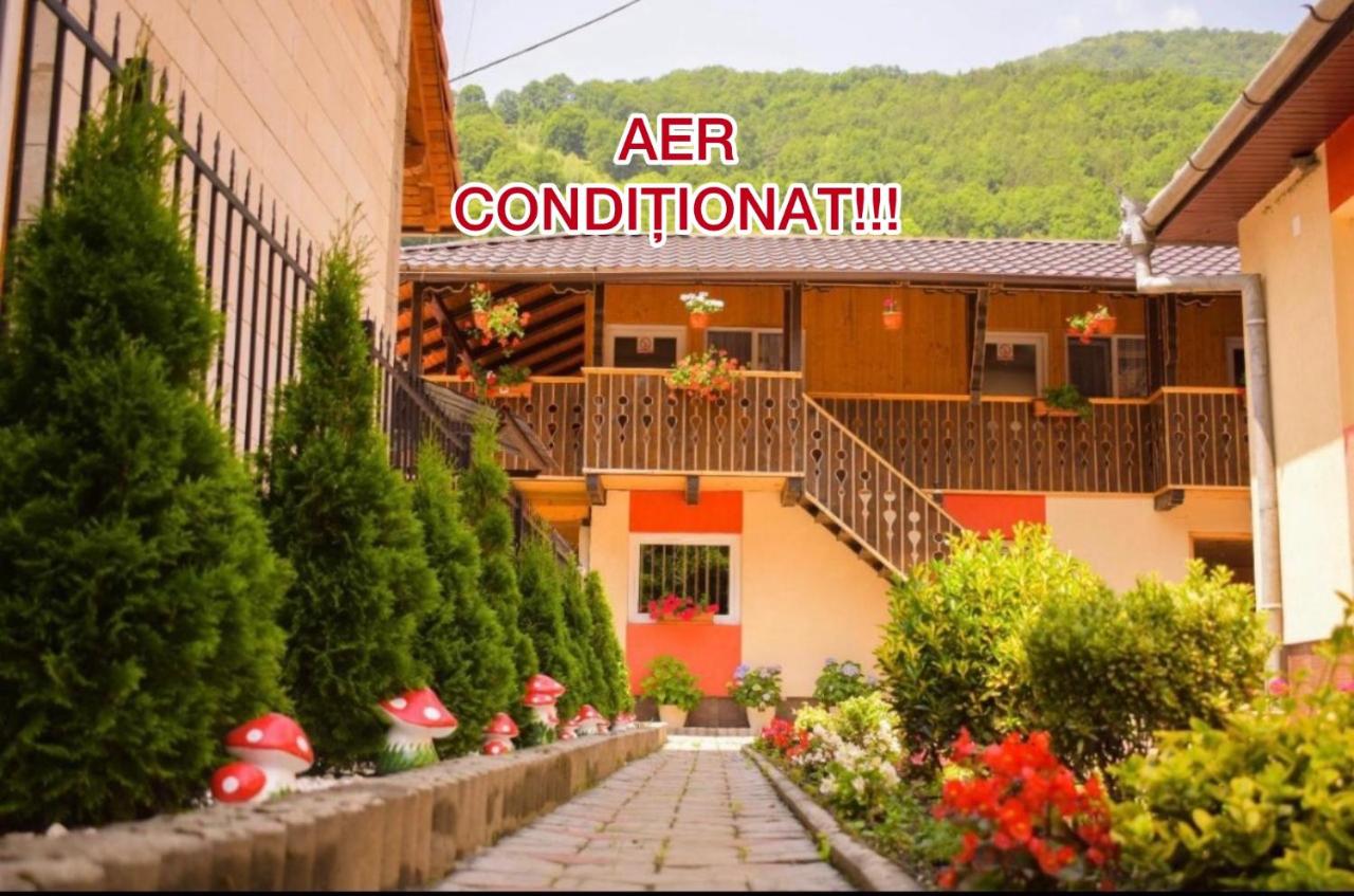 Pensiunea Casa Ioana - Ferienwohnung Şugag
