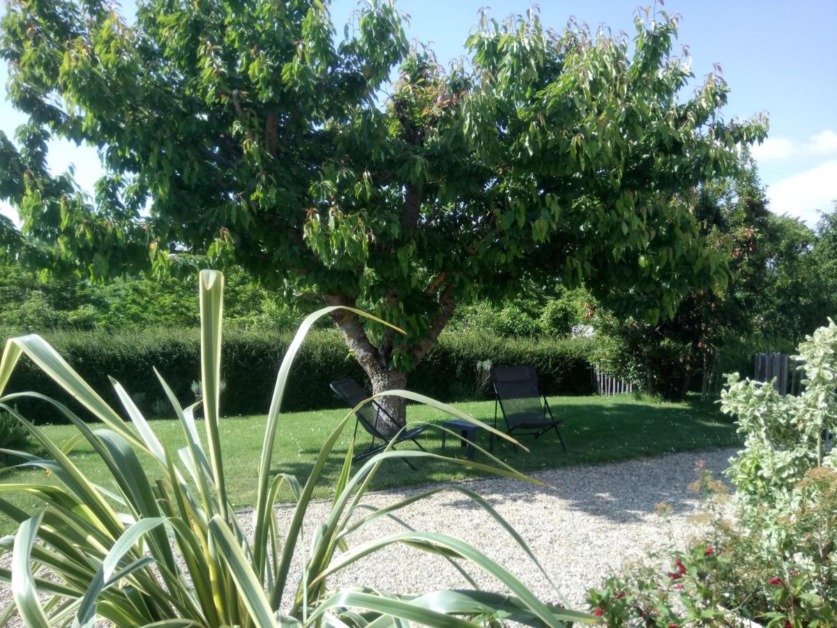 Gite Papillon - Chambres d’hôtes Vaux-sur-Mer
