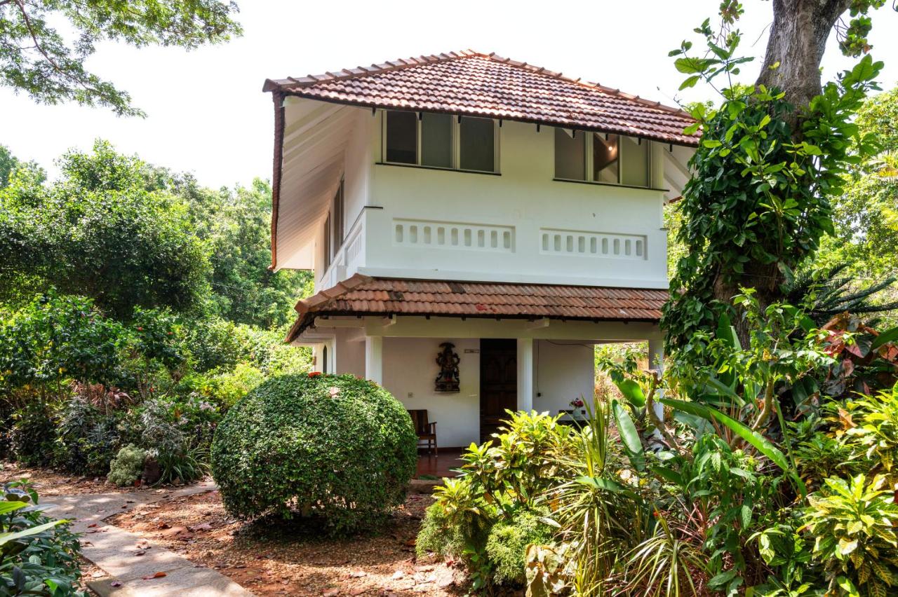 Gaia's Garden Guest House - B&B