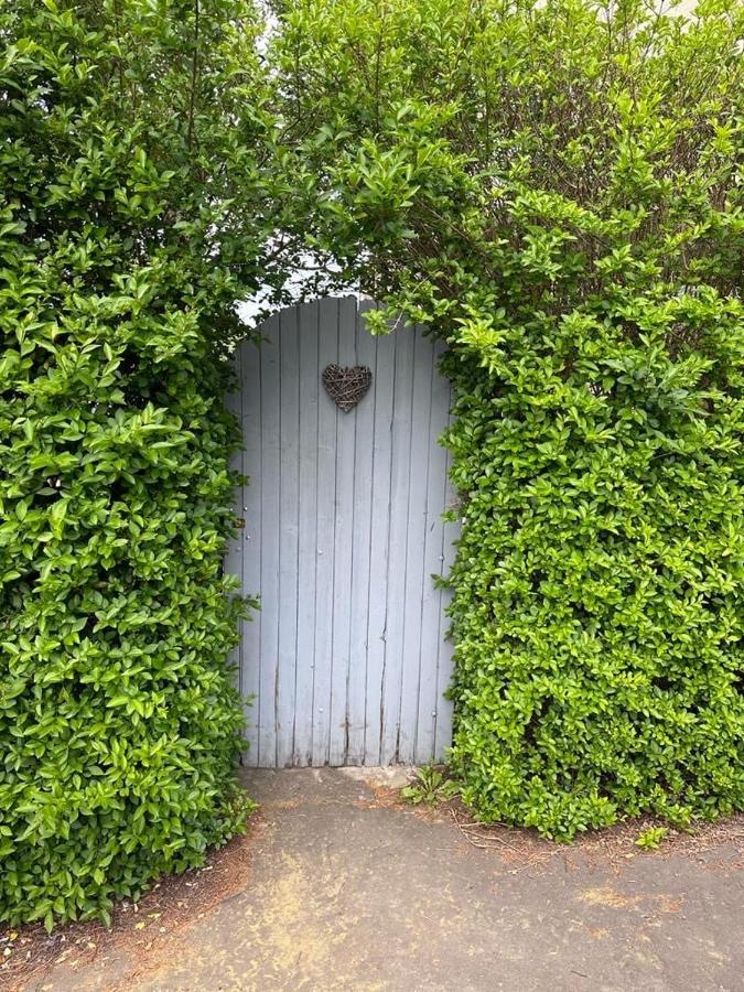 Peaceful and Stylish Garden Flat Close to Transport and City Centre - Chambres d'hôtes Glasgow