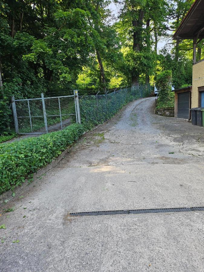 Ferienapartment Waldhaus - Ferienwohnung Marsberg