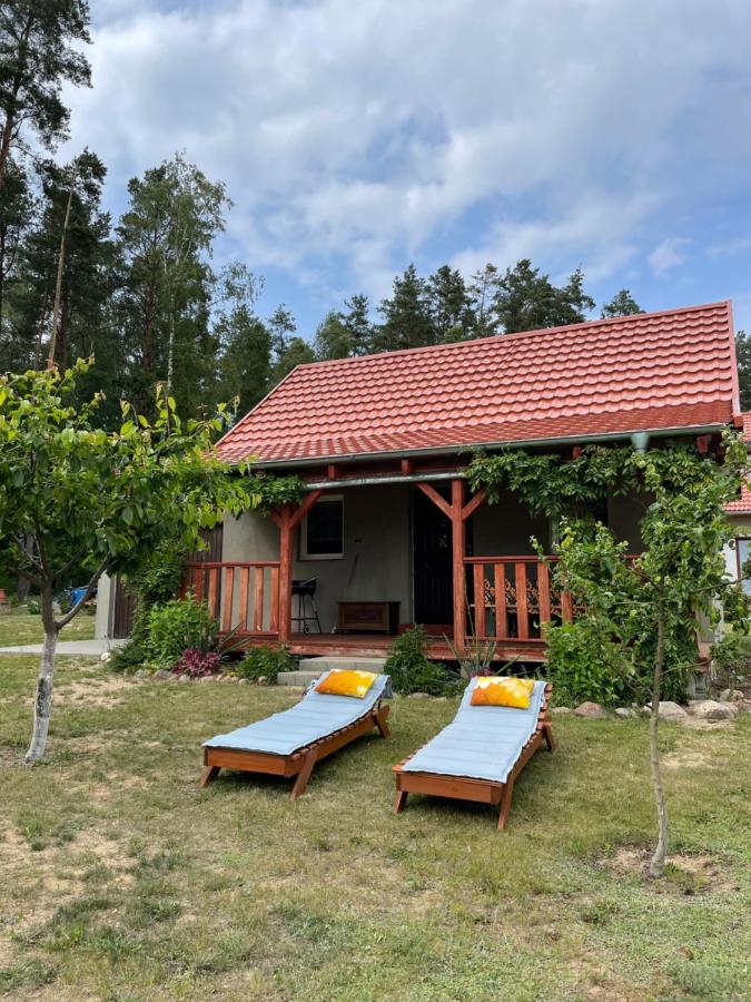 Leśna Ostoja - B&B