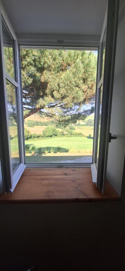 Grand cottage le pré bleu 11mn lac - Bed and Breakfast Thizy-les-Bourgs