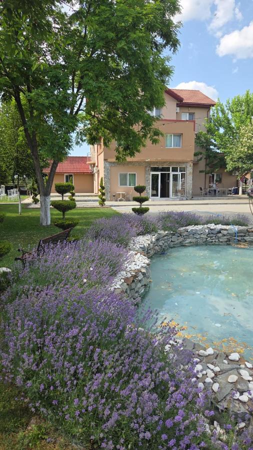 FLORA Garden - B&B Filiaşi