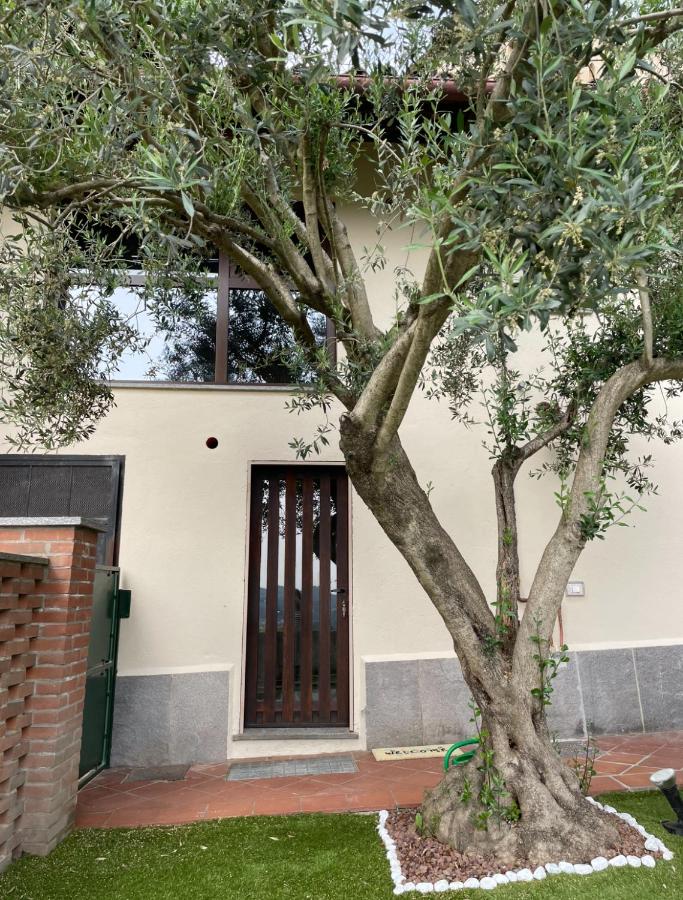Il Nido Del Ricetto - B&B Roppolo