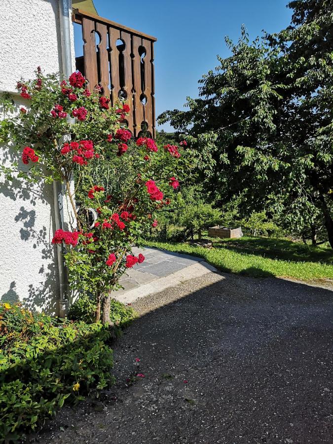 Appartement Panoramablick - B&B Grattersdorf