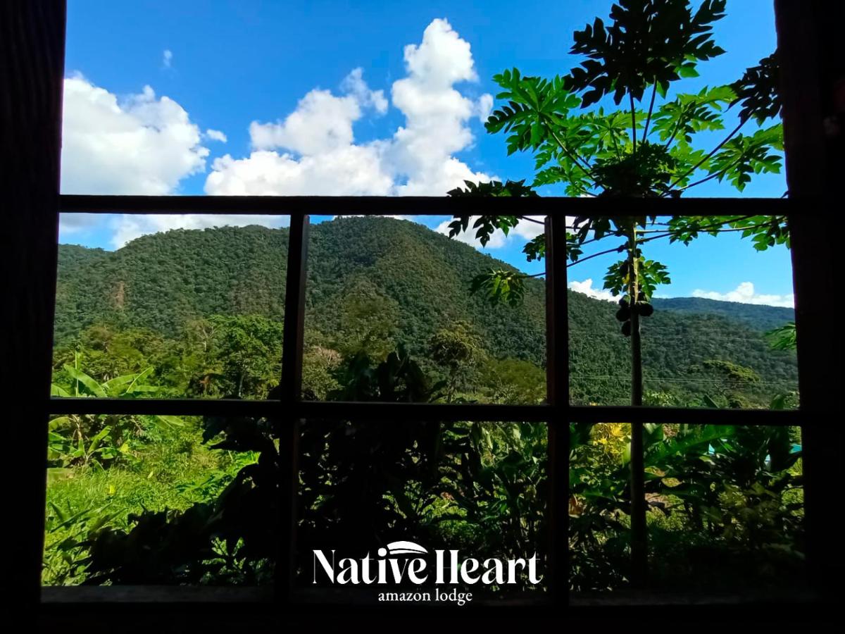 Native Heart Amazon Lodge - B&B Shapaja