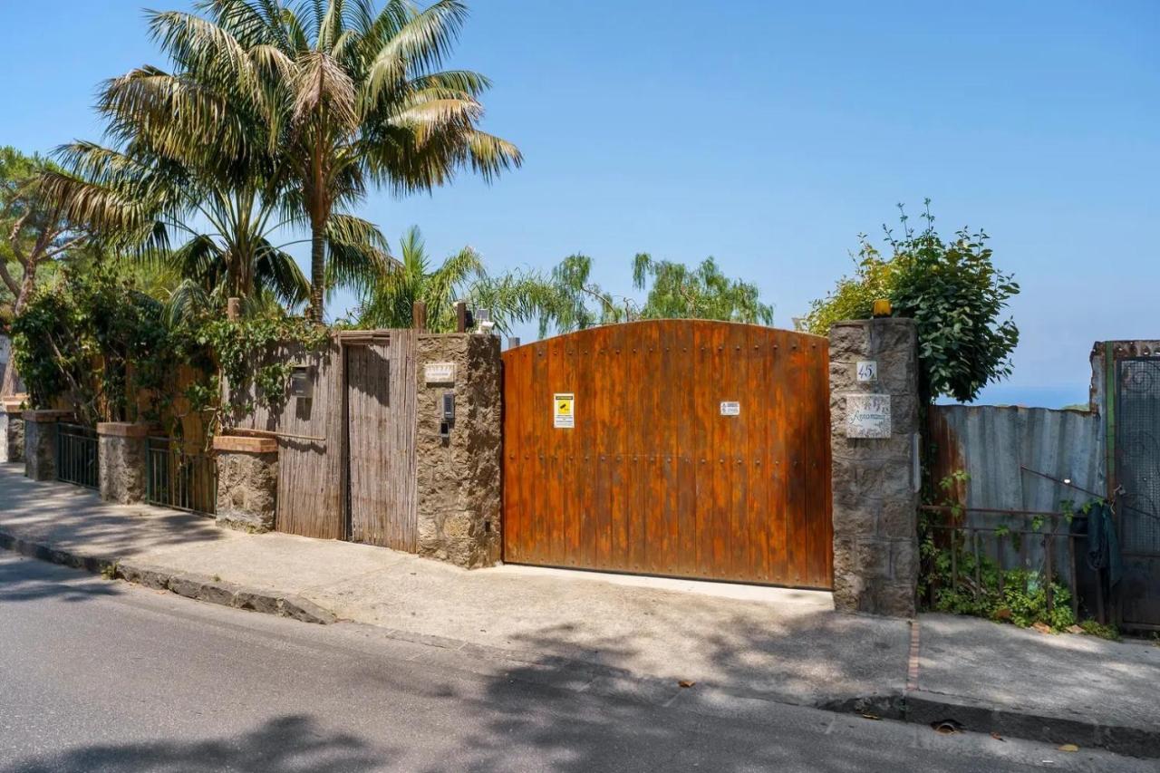 Villa Panorama Isola di Ischia - B&B Ischia