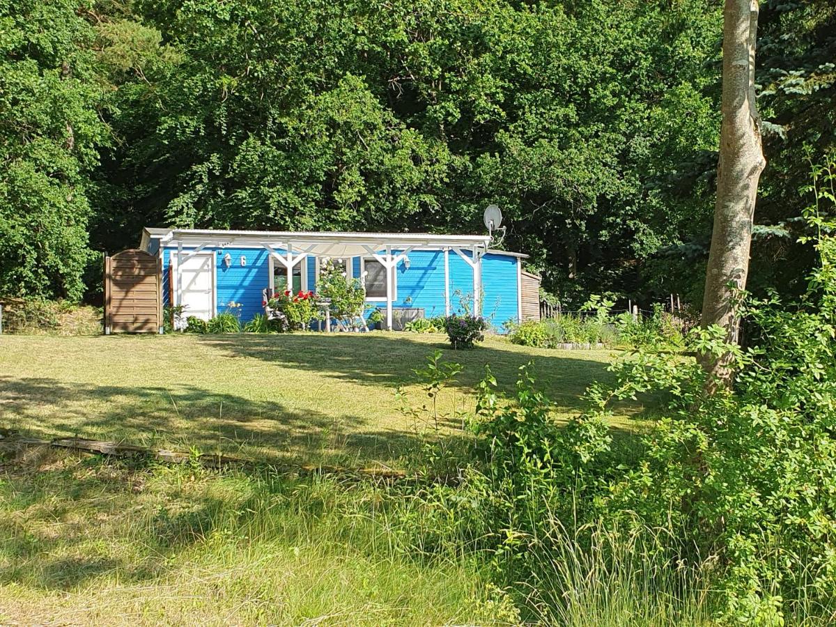 Am Waldrand - B&B Appelburg