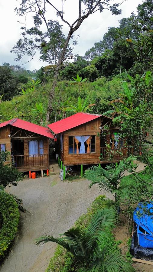 Cabañas Los Profes - B&B