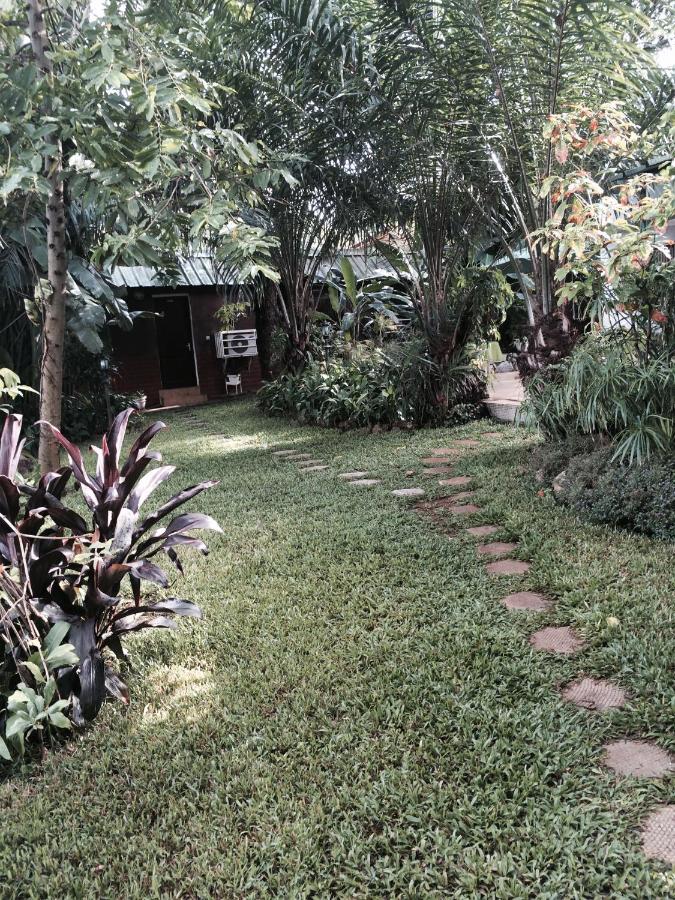 Pension Les Palmiers - B&B Kipé