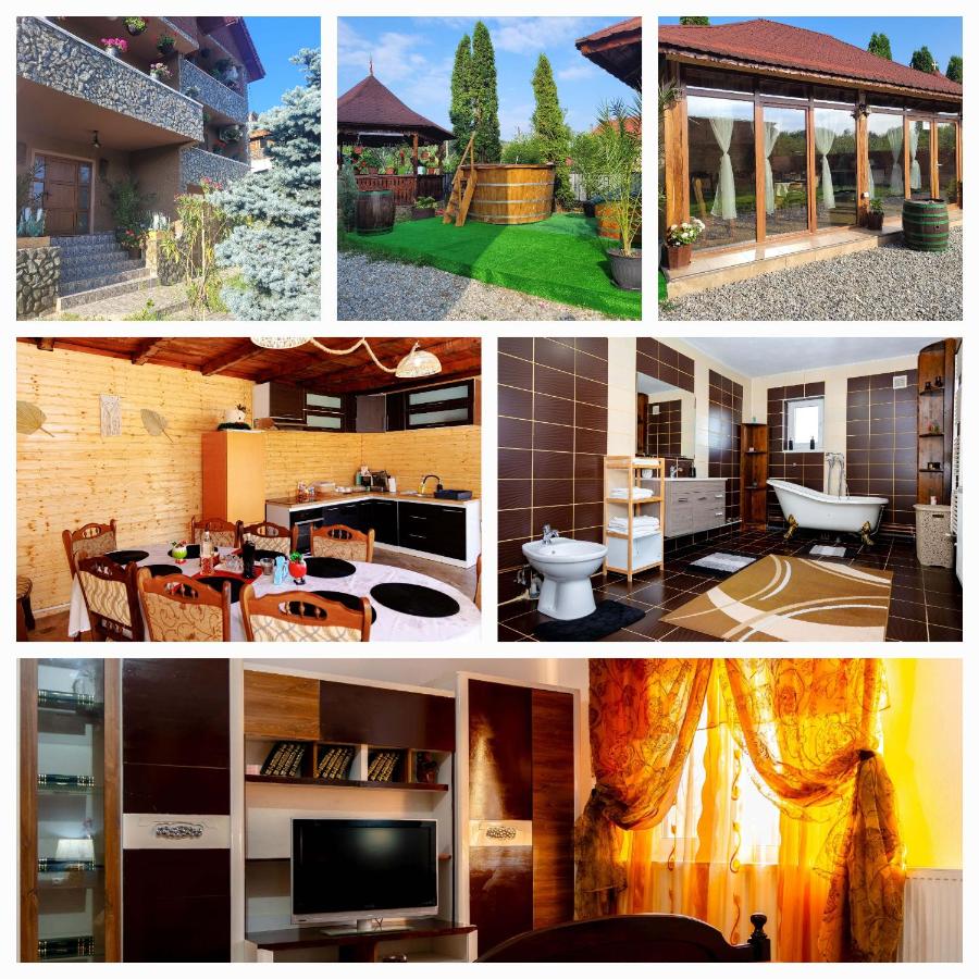 Pensiunea Anais - B&B