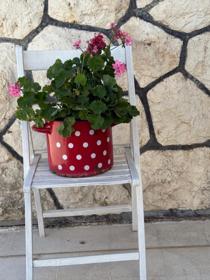 Villa Godinovic - B&B