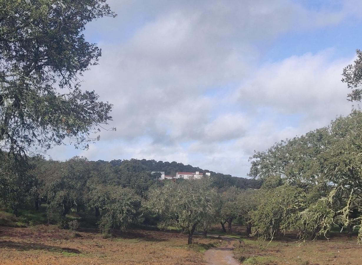 Monte do Roque - B&B