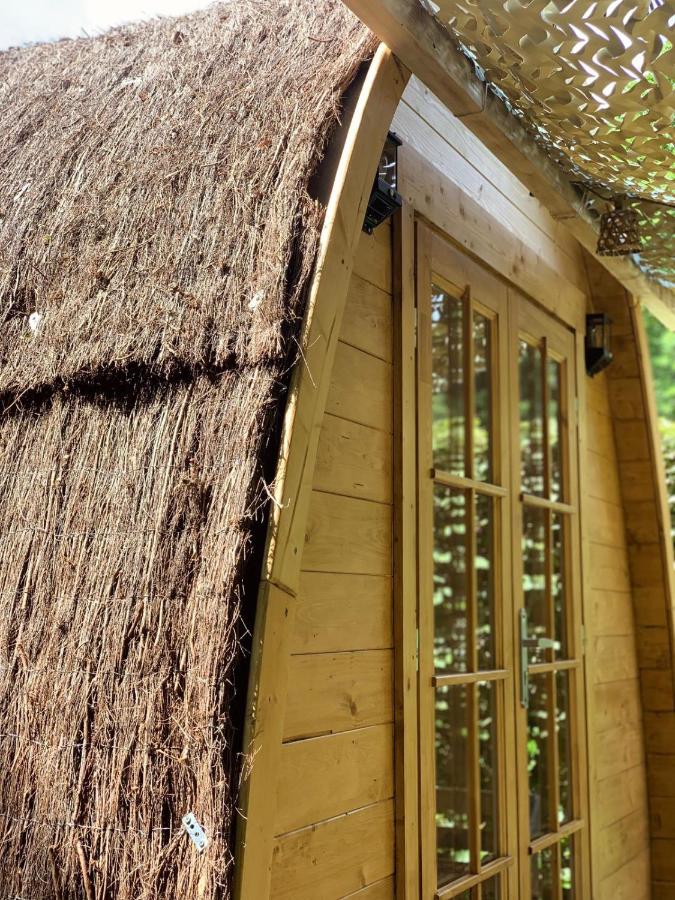 Le Pavillon Vert - B&B - B&B